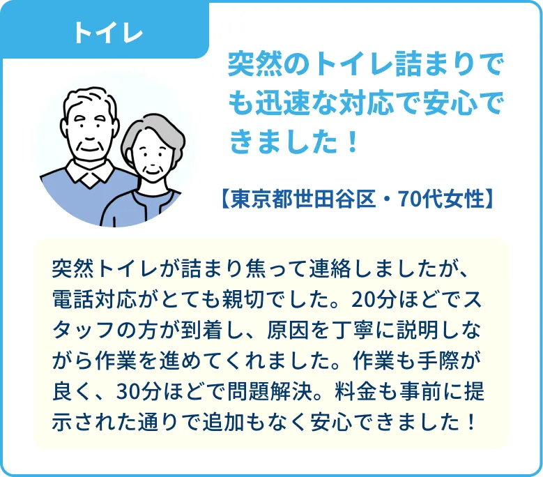 voice 01