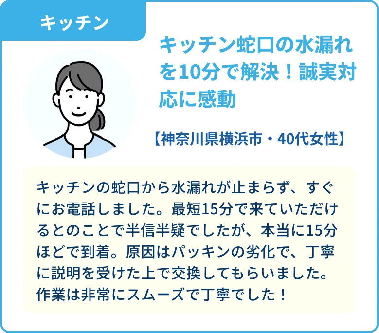 voice 02